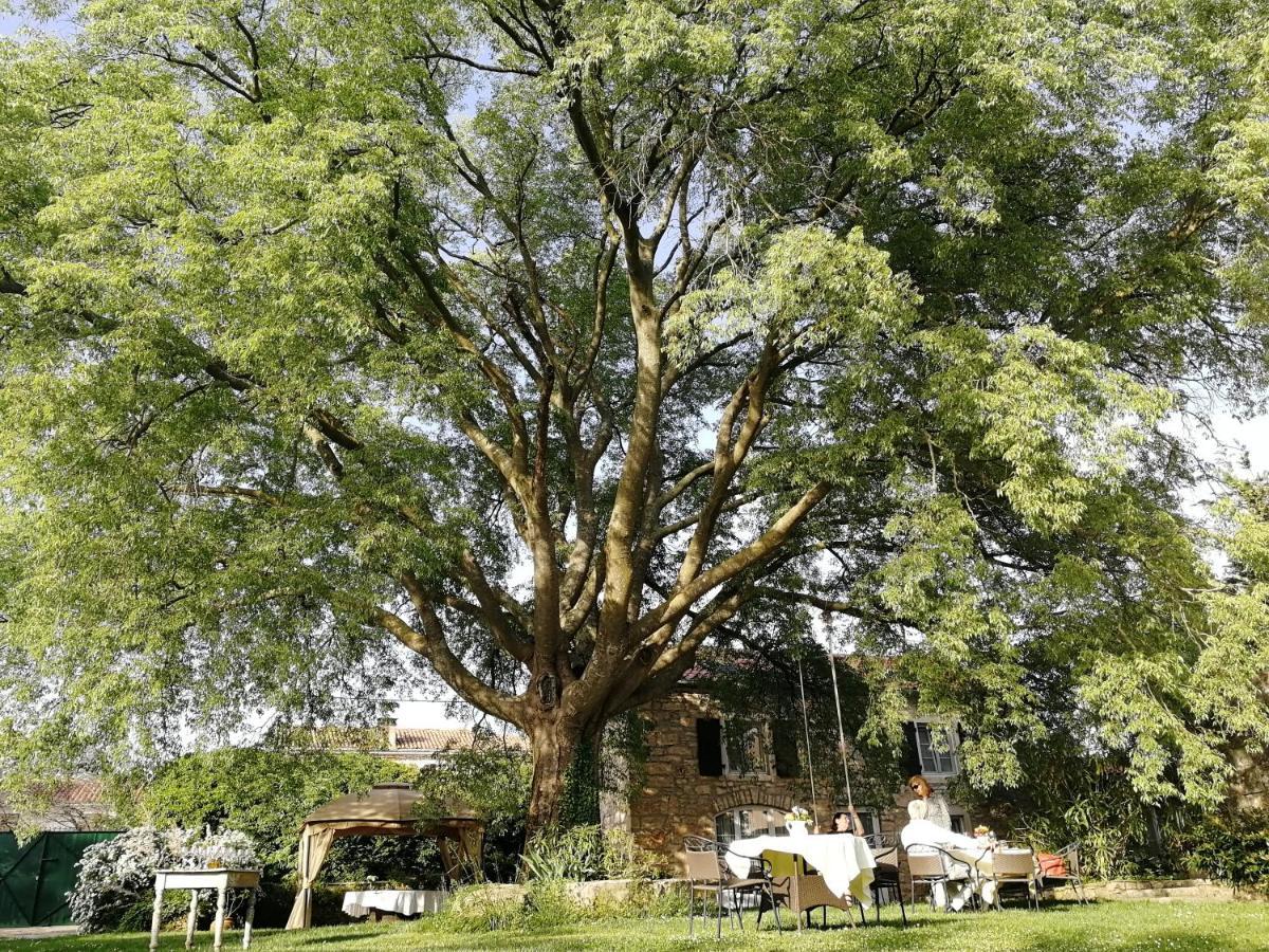 Boutique B&B Stancija 1904 Adults Only Svetvinčenat エクステリア 写真